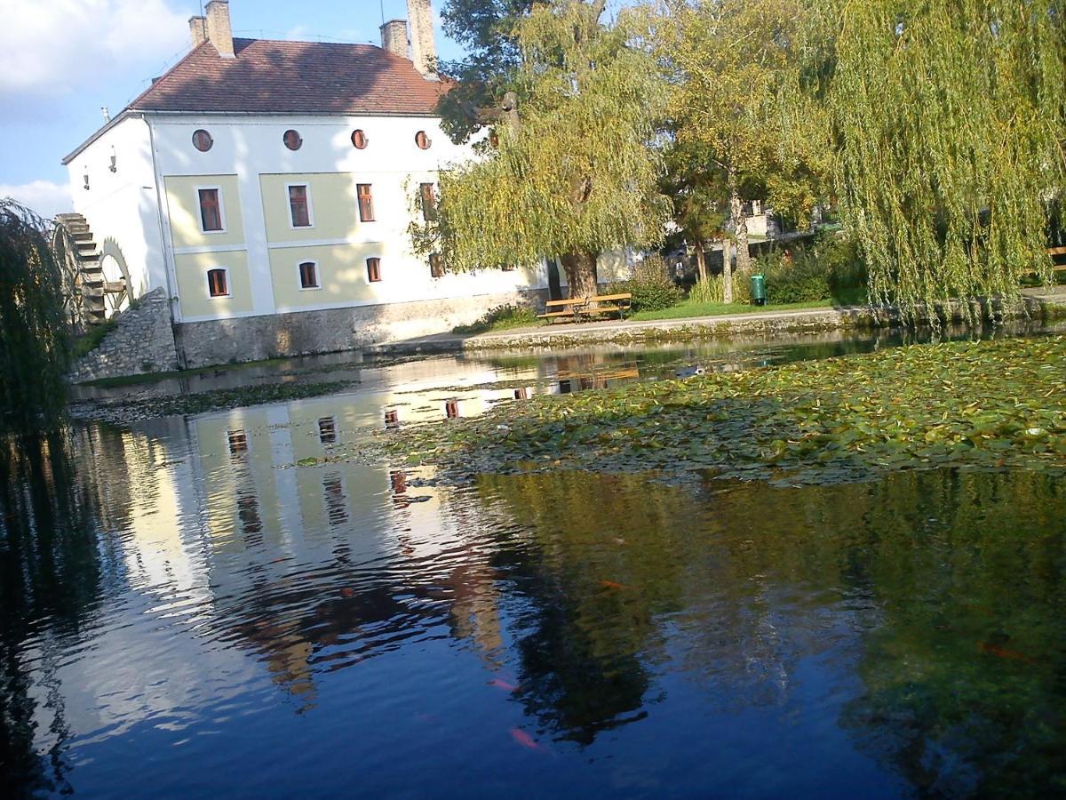 Villa Elisa Vonyarcvashegy Extérieur photo